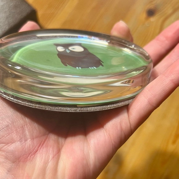 Rice University Owl paperweight - Picture 3 of 5